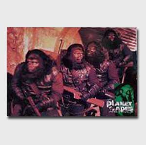 POTAM Soldiers Tracking Bug Image